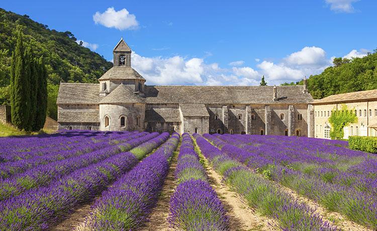 Le Mas Des Armouriers Violes Exterior photo